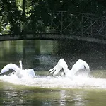 Гостевой дом Domaine Du Feyel Нёшато