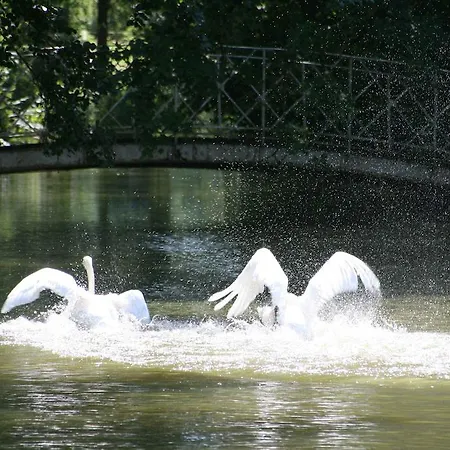 Гостевой дом Domaine Du Feyel Нёшато