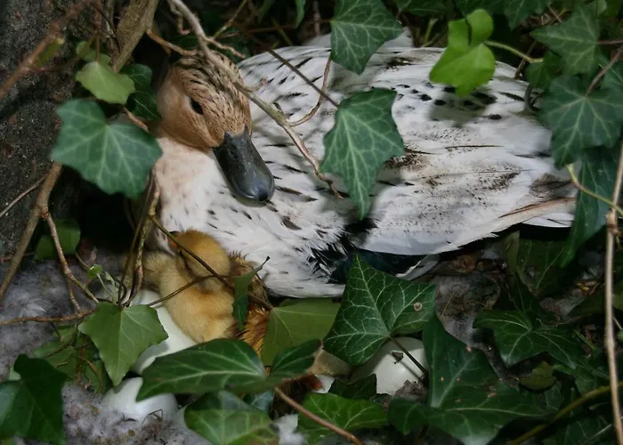 Penzion Domaine Du Feyel 3*