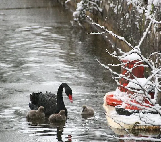 Domaine Du Feyel Neufchâteau