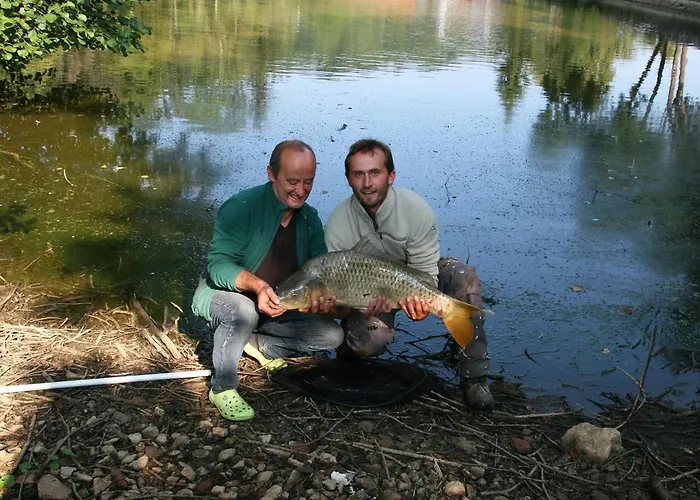 Penzion Domaine Du Feyel Neufchâteau